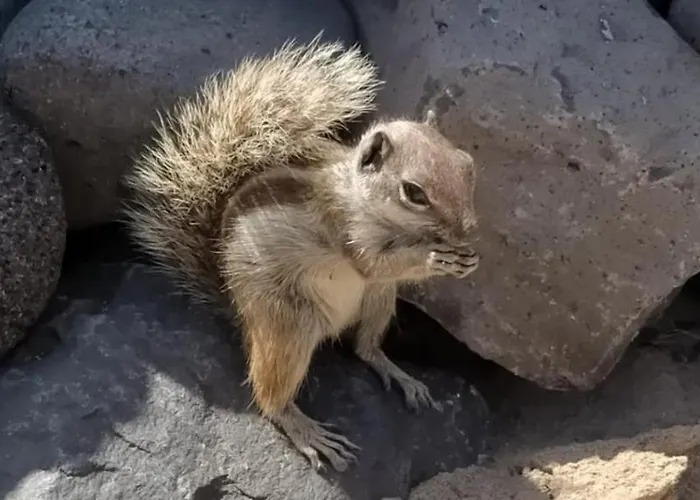 Residencial Esquinzo 2