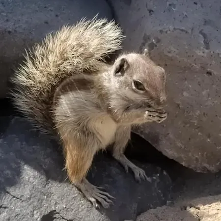 Residencial Esquinzo 2